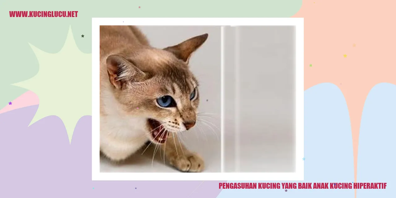 gambar anak kucing hiperaktif