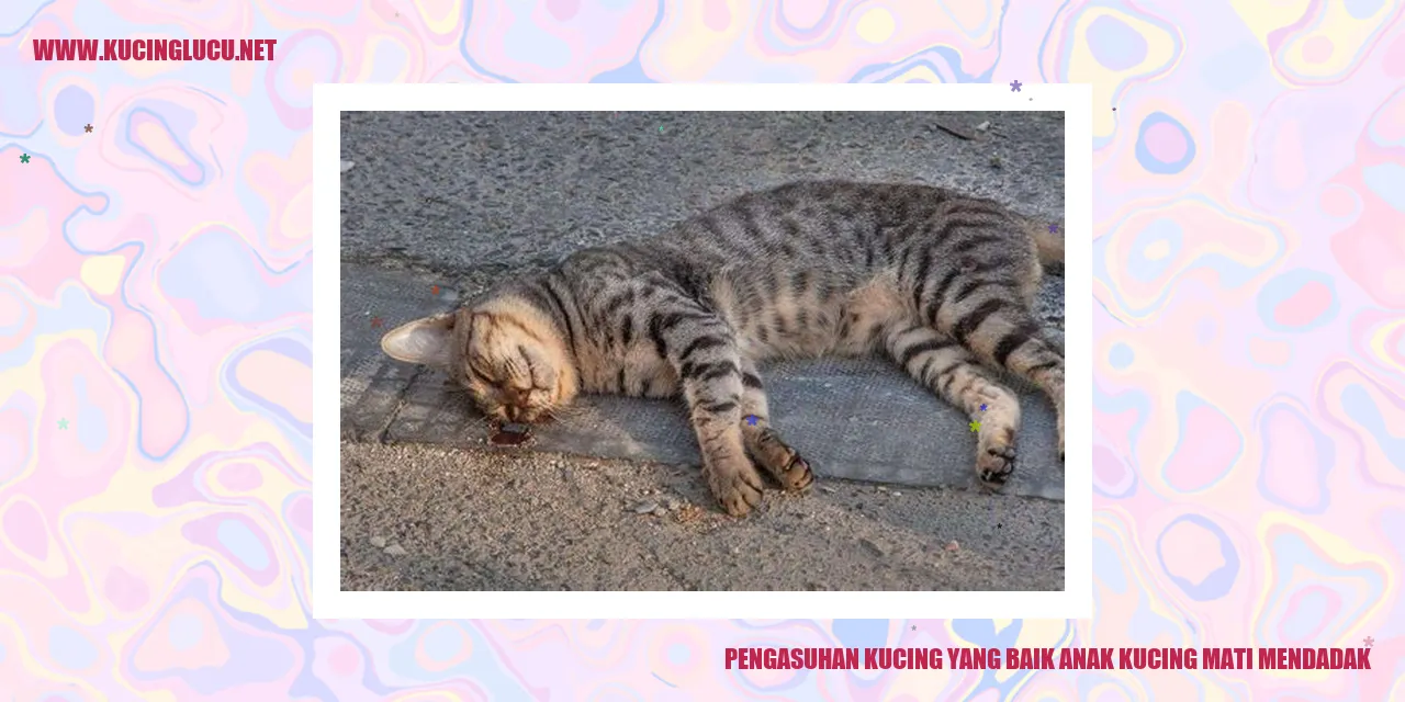Mengasuh Anak Kucing dengan Baik: Mencegah Kematian Mendadak
