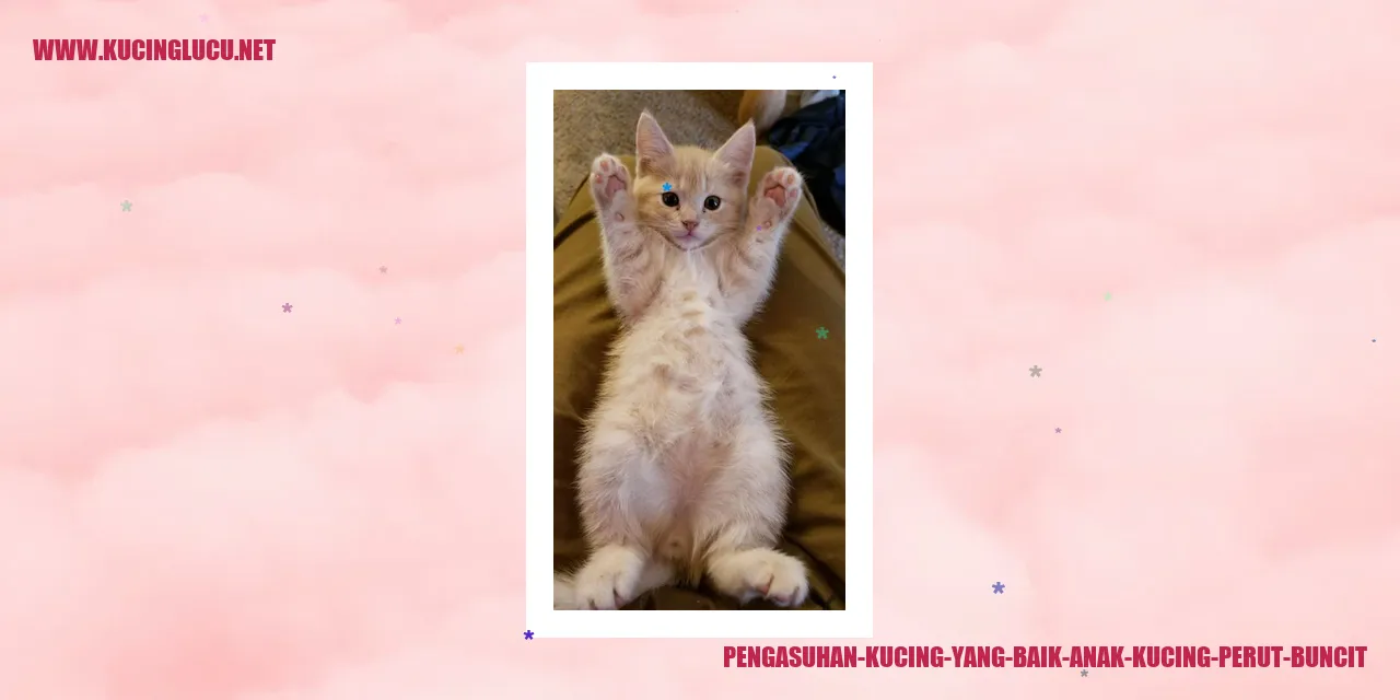 Anak Kucing dengan Perut Buncit