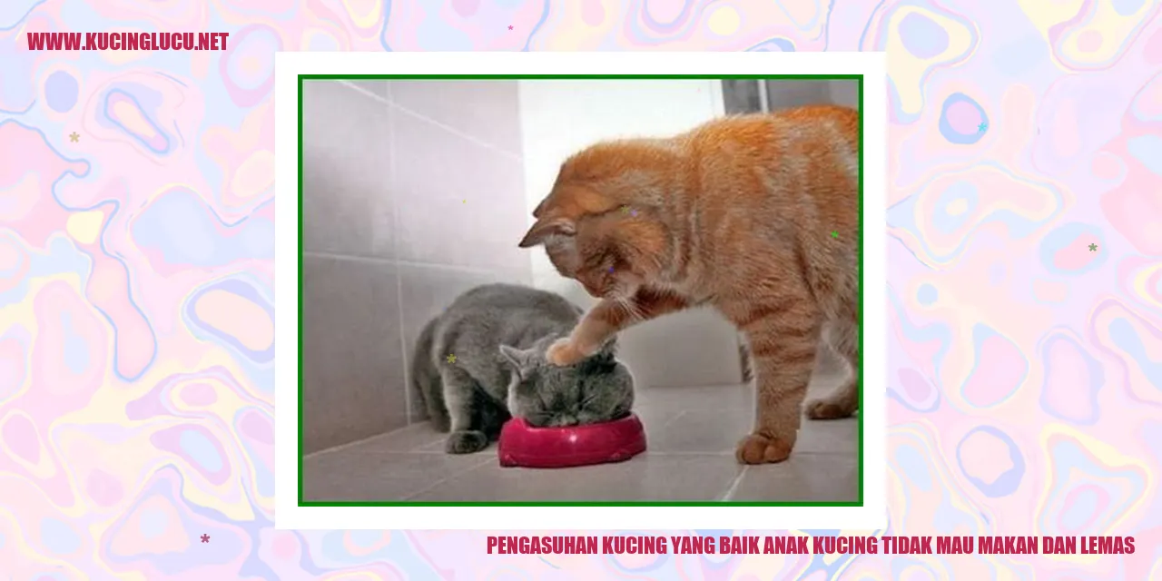 Pengasuhan Kucing yang Baik