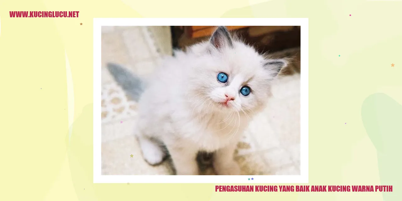 Gambar Kucing Putih
