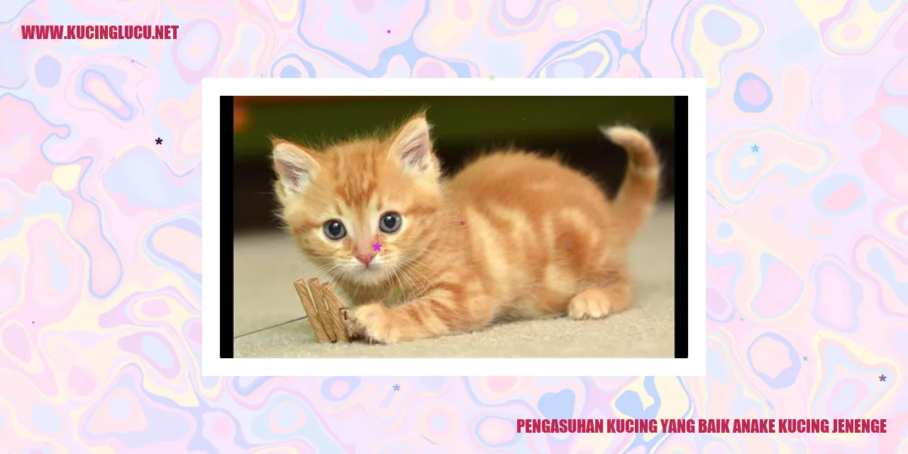 Pengasuhan Kucing