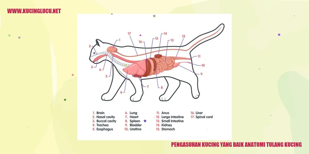 Kucing yang Sehat