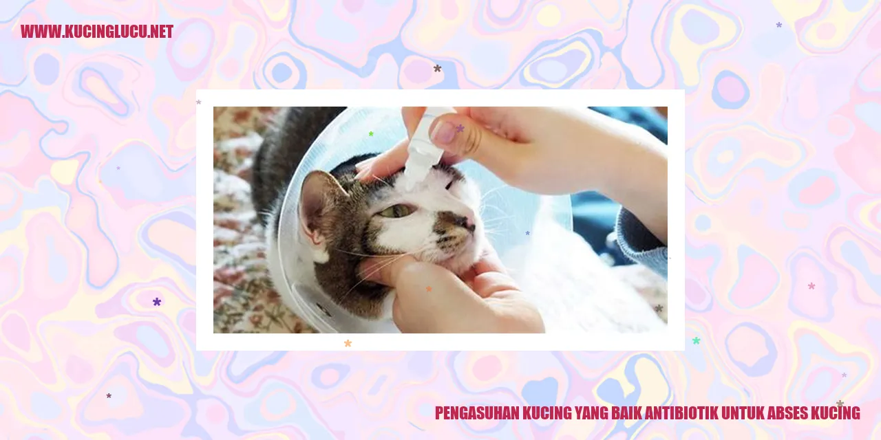 Gambar Kucing