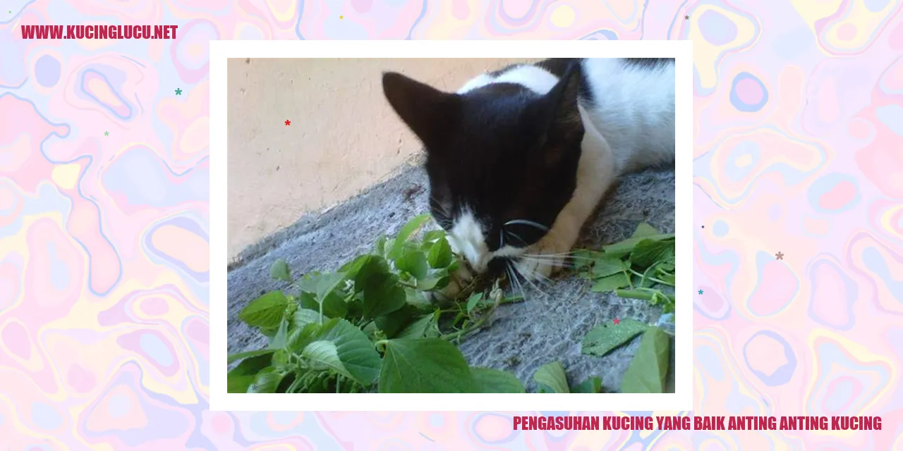 Gaya pengasuhan yang baik bagi kucing