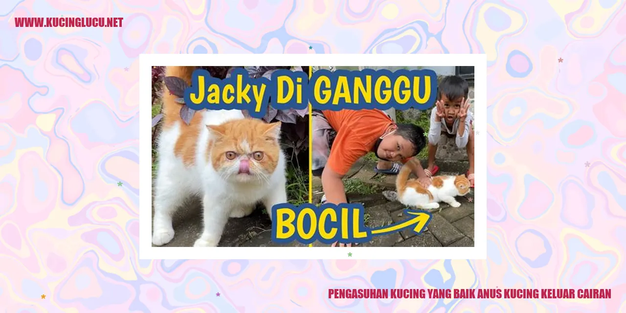 Kucing Sehat