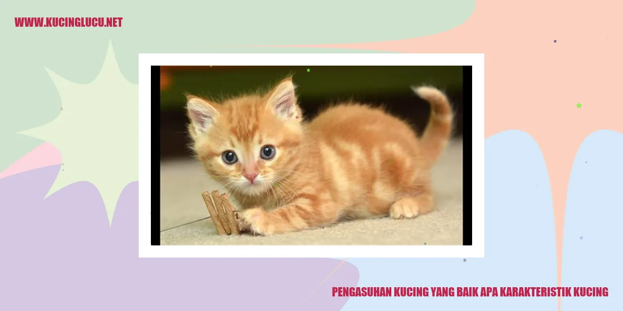 Kucing yang Menggemaskan