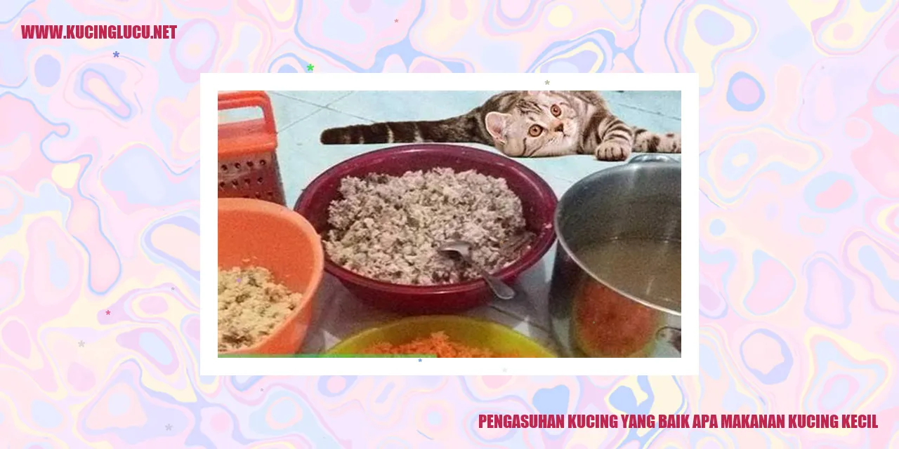 Kucing Menggemaskan