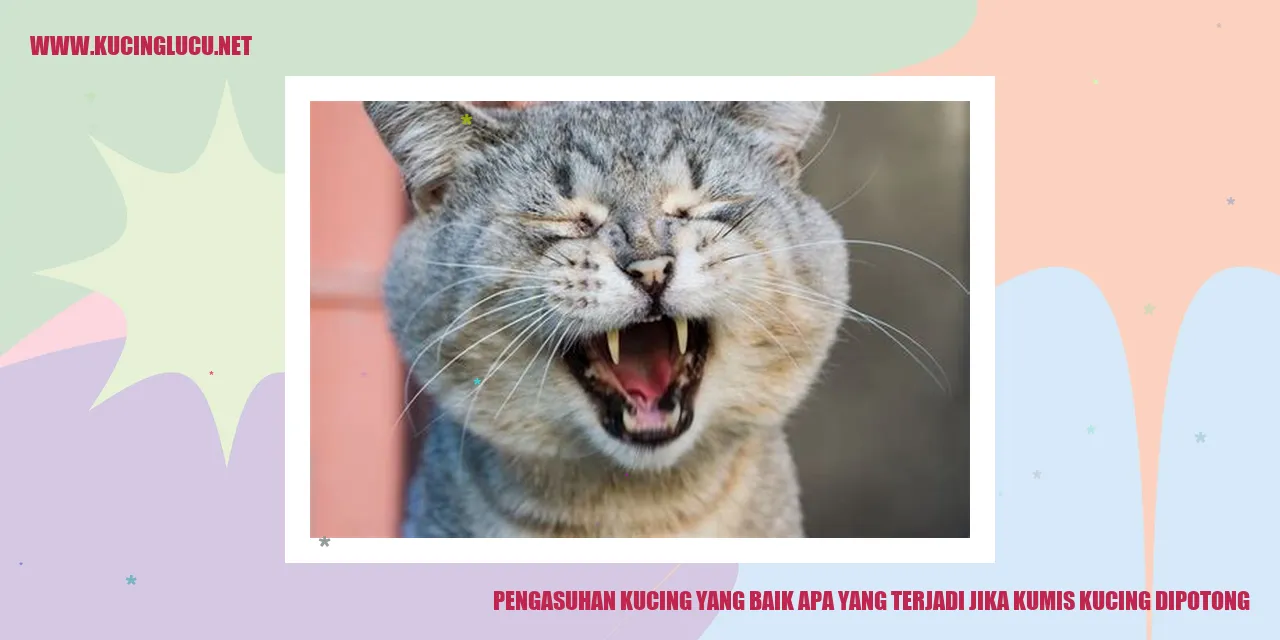Gambar kucing dengan kumis yang utuh