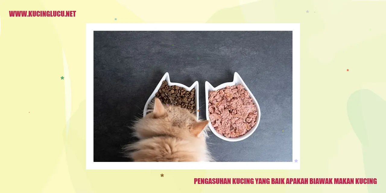 Pengasuhan Kucing yang Baik