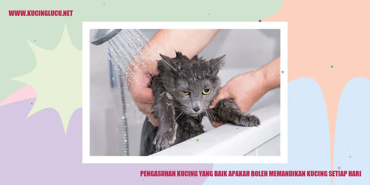 Panduan Pengasuhan Kucing yang Baik