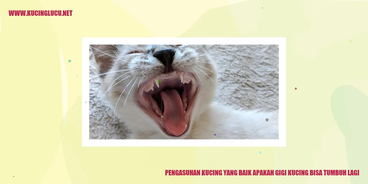 Gambar Kucing
