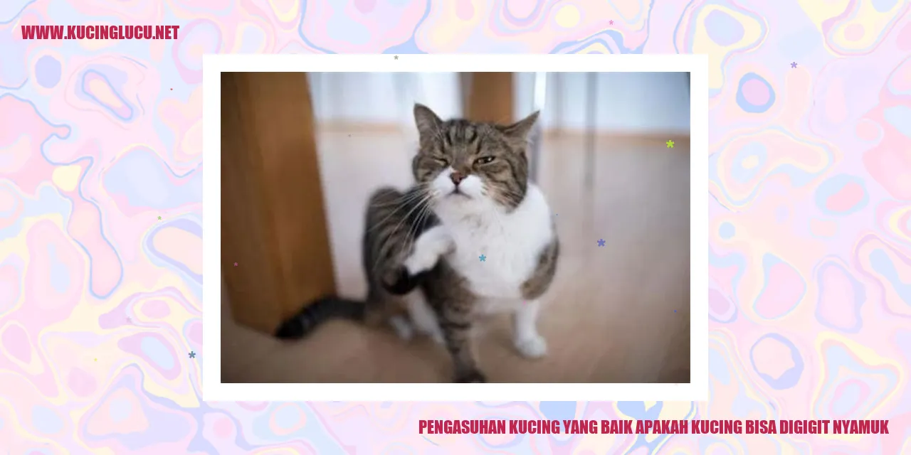 Kucing dikejar nyamuk