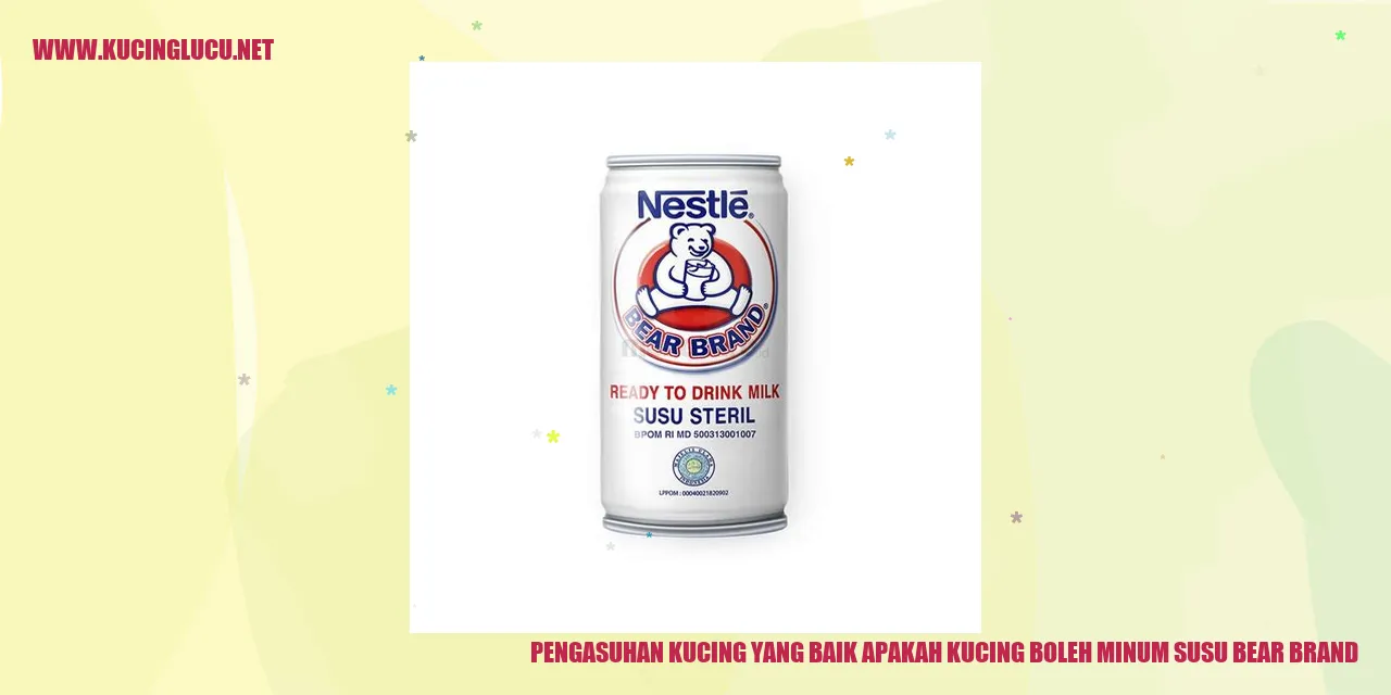 Gambar Kucing Menikmati Susu Bear Brand