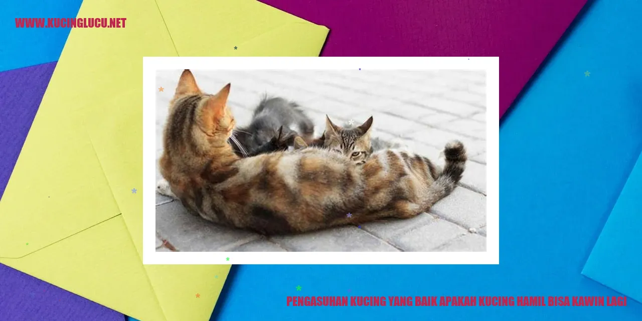 Pengasuhan Kucing yang Baik