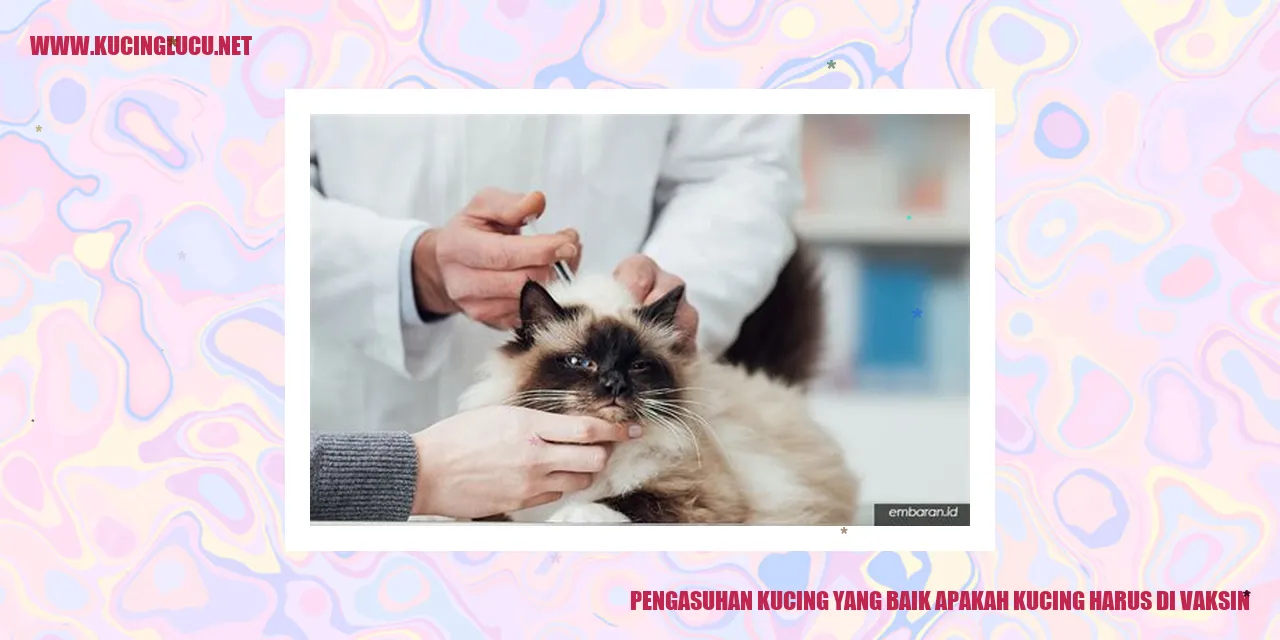 Pengasuhan Kucing yang Baik
