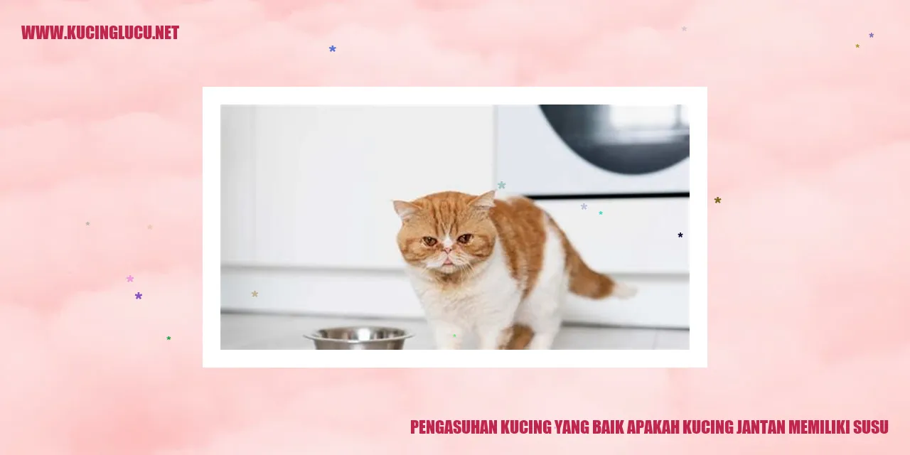 Kucing imut