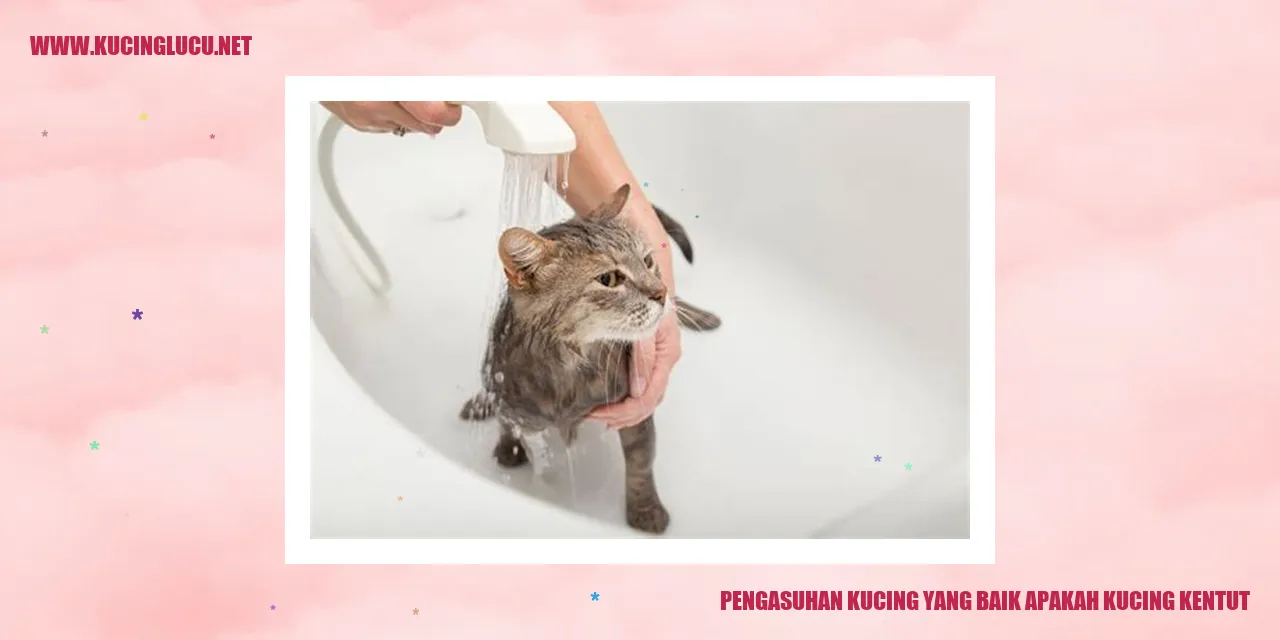 Kucing Kentut