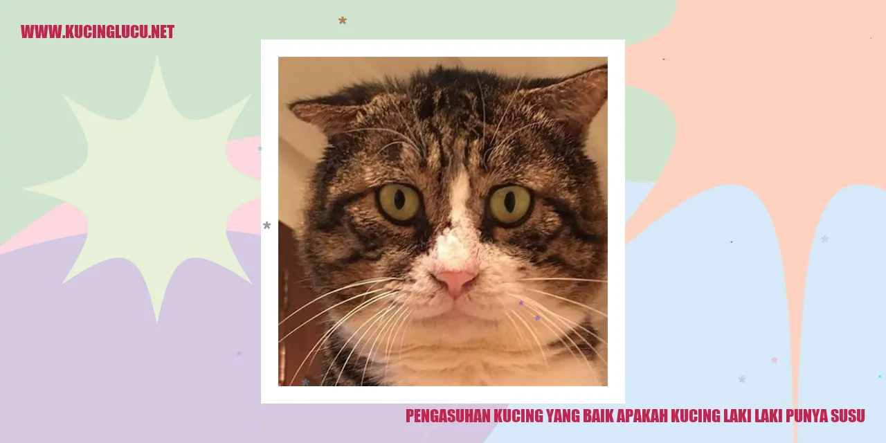 Pengasuhan Kucing yang Baik
