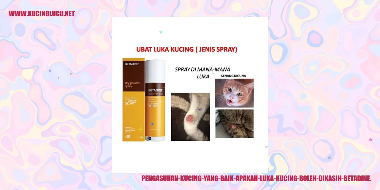 Gambar Kucing Terinfeksi
