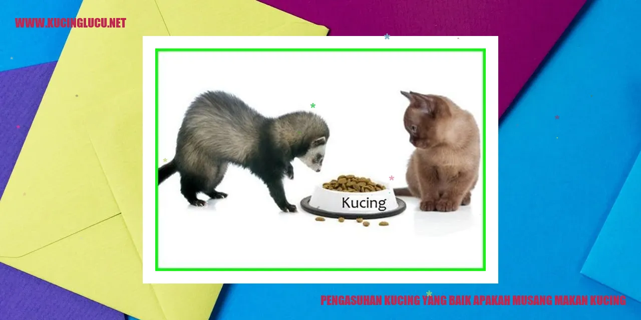 Pengasuhan Kucing yang Baik