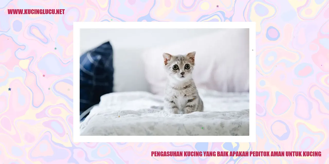 Gambar Kucing