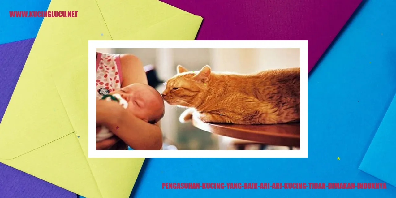 Gambar Kucing