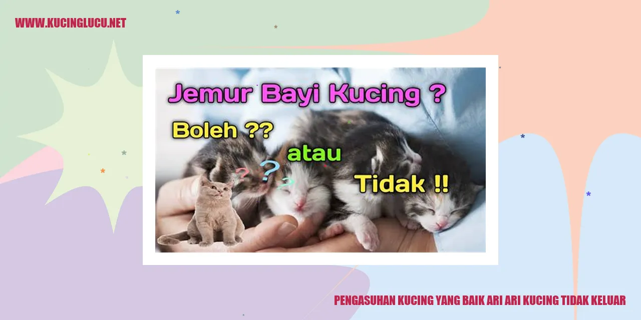 Kucing Lucu