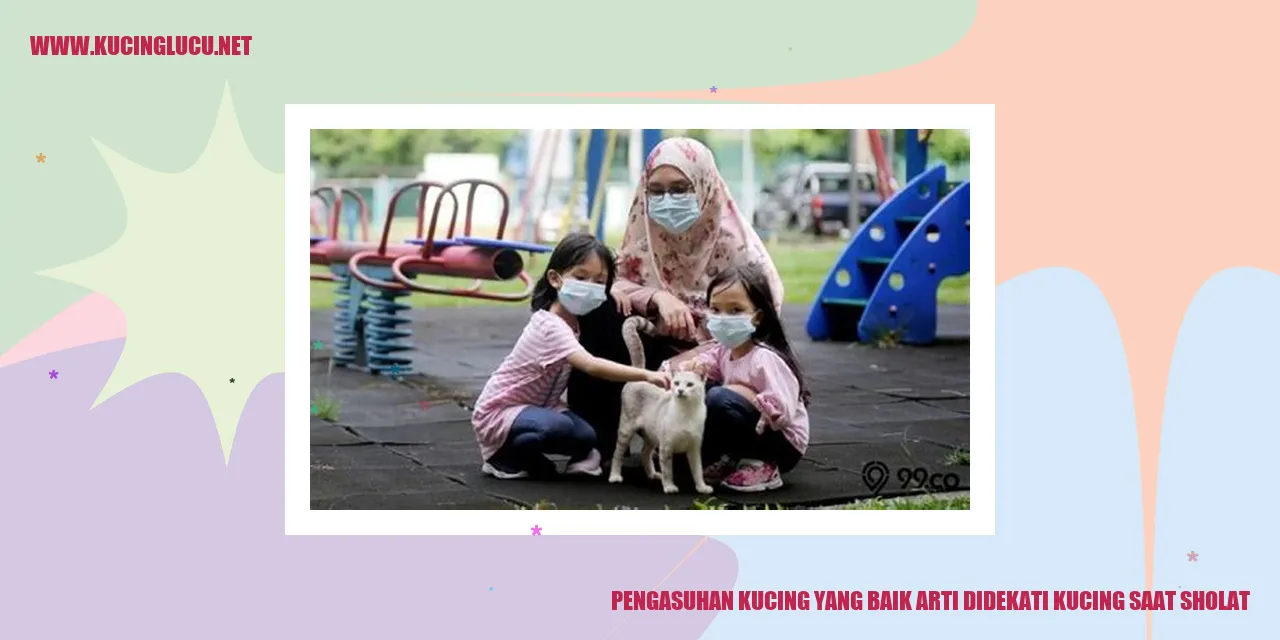 Kucing didekati saat sholat