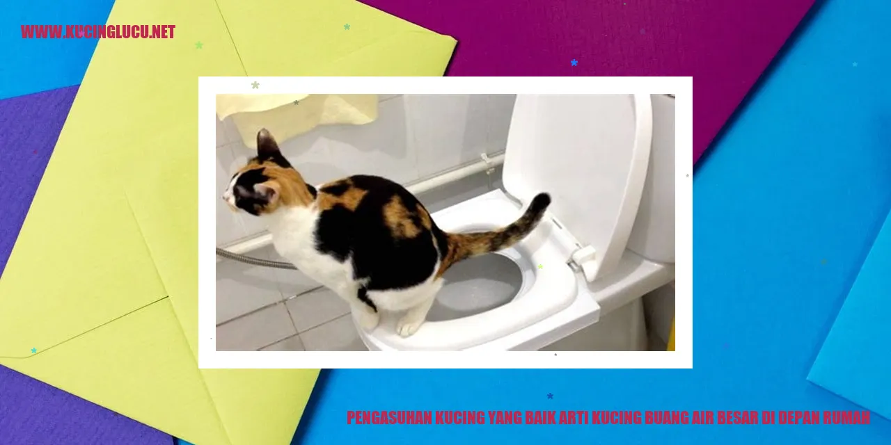 gambar kucing yang menggemaskan