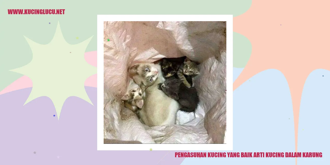Gambar Kucing yang Bahagia