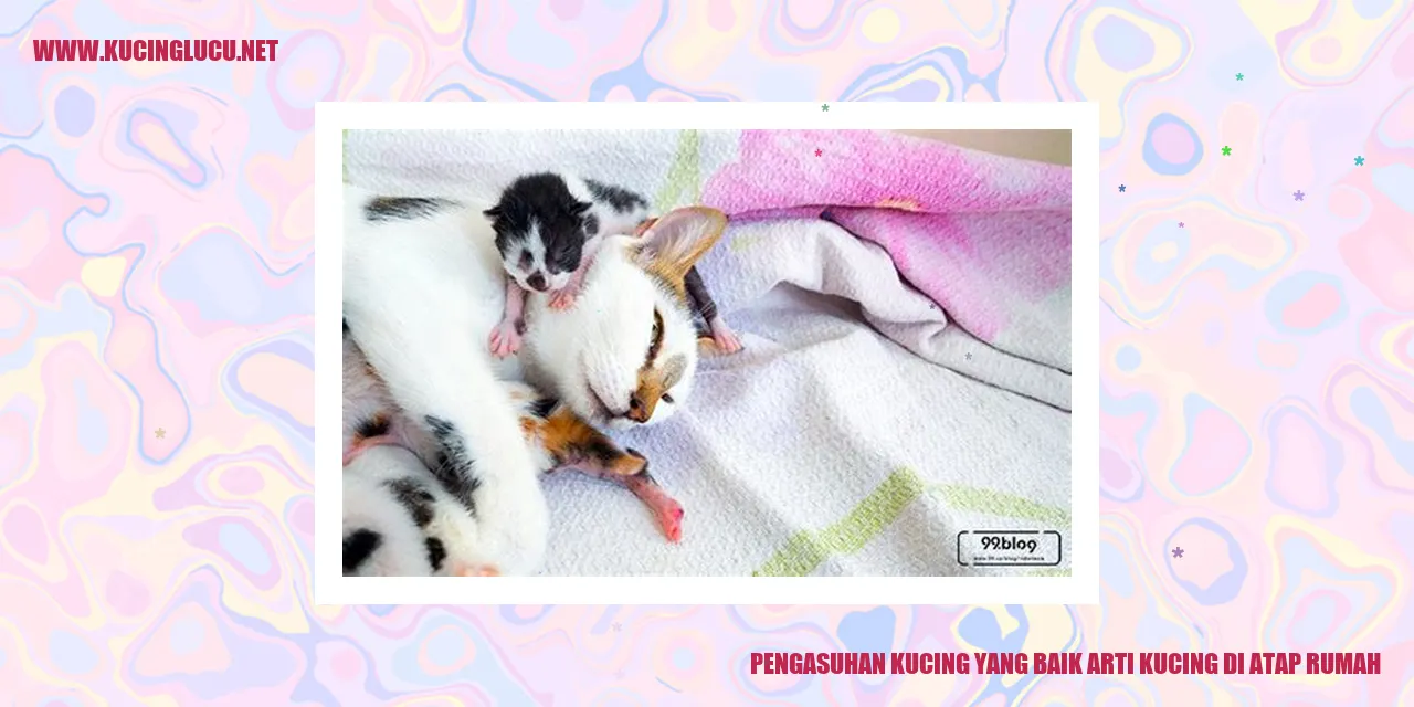 Kucing di atap rumah