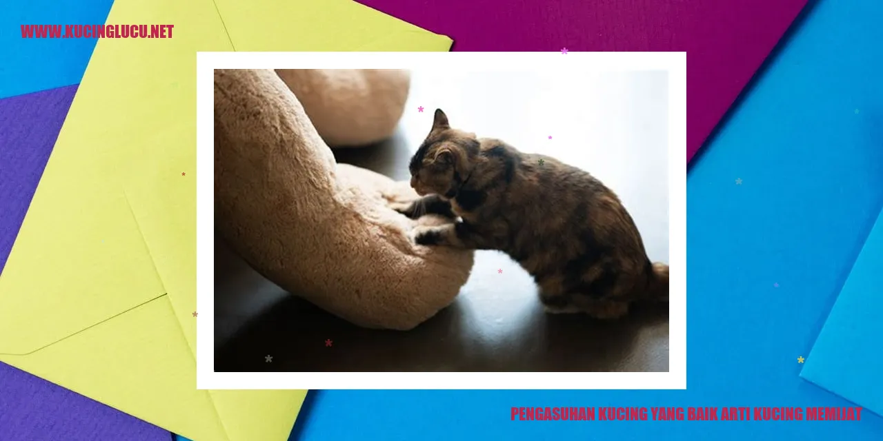 Kucing memijat