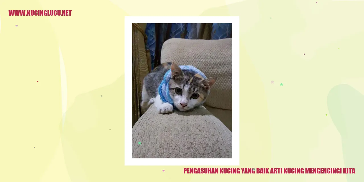 Gambar Kucing Mengencingi Kita