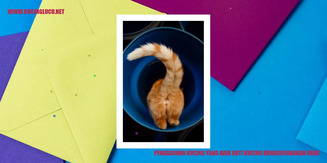 Kucing menggoyangkan ekor