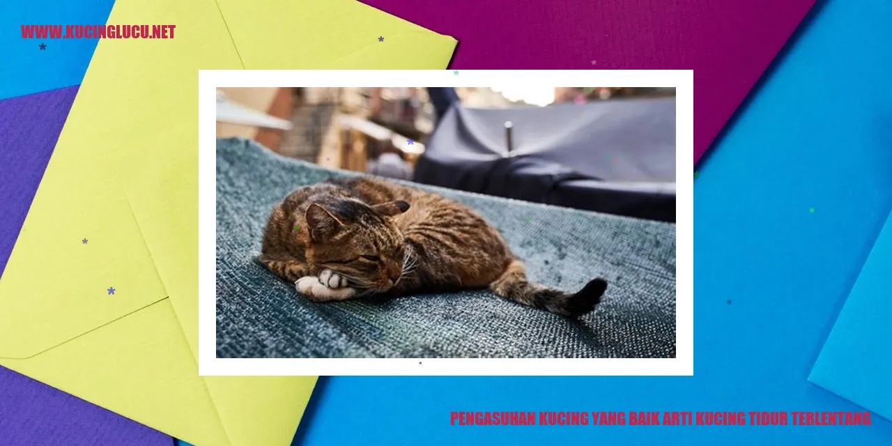 Kucing Tidur Terlentang