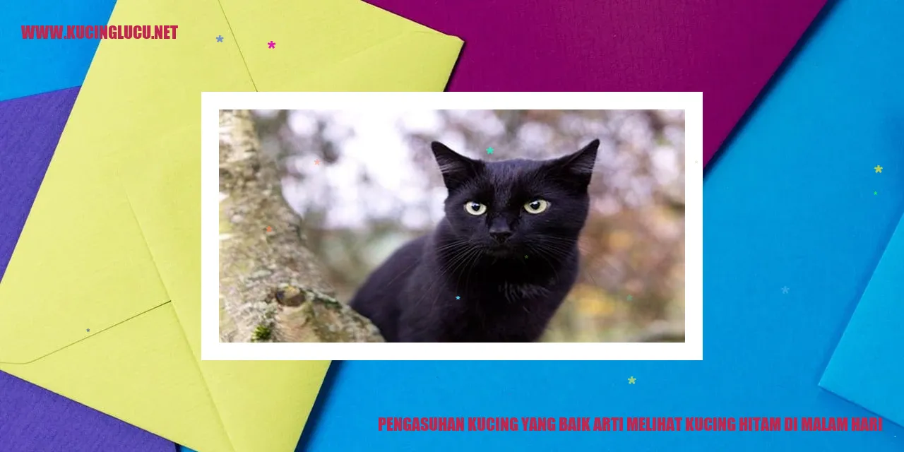 Kucing Hitam di Malam Hari