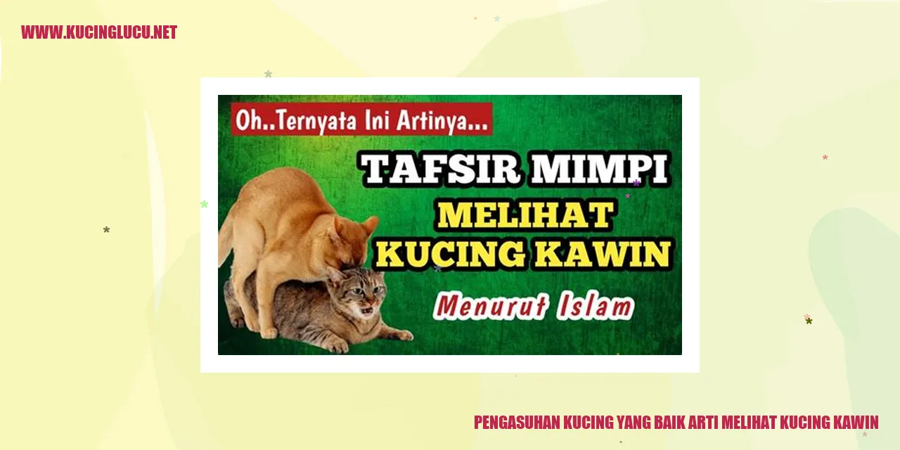 Ilustrasi Kucing Kawin