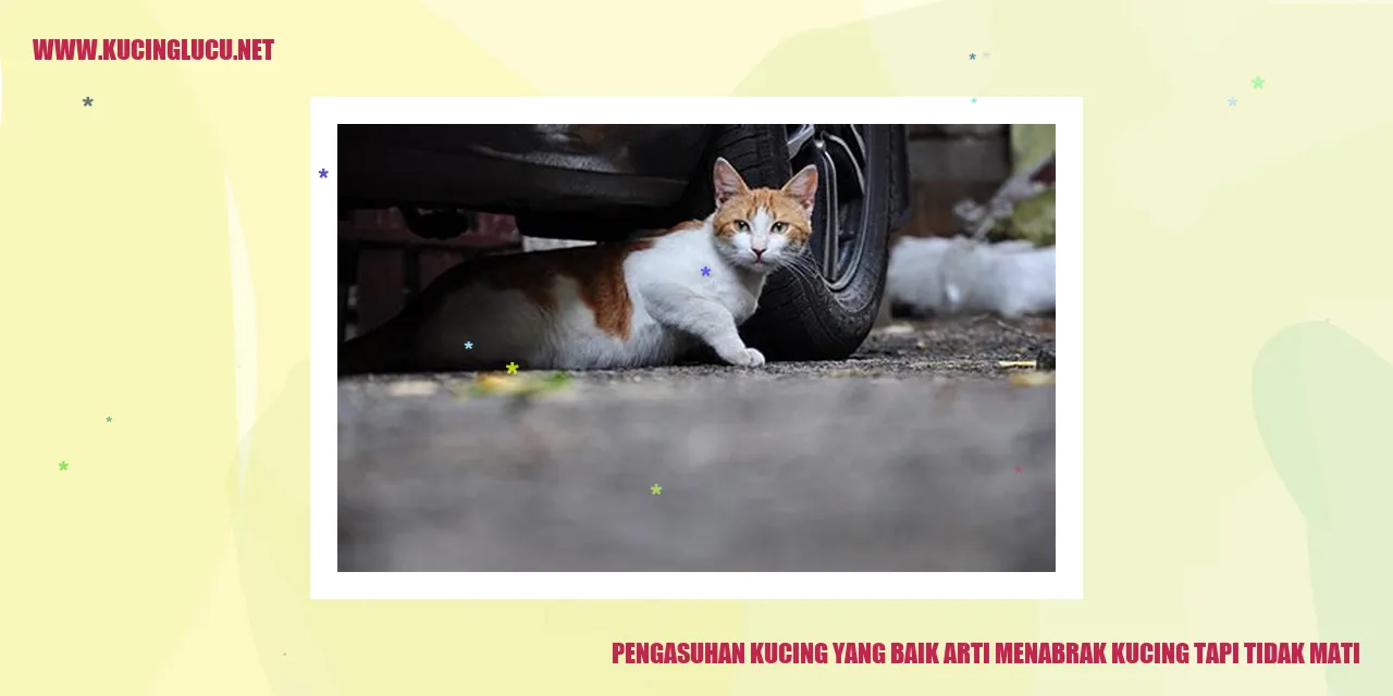 Pengasuhan Kucing yang Baik