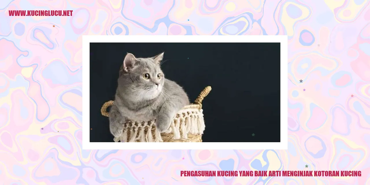 Kucing yang Menginjak Kotoran