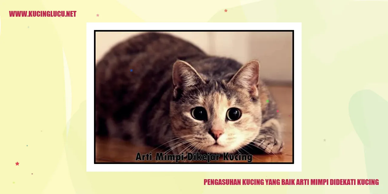 Foto Kucing yang Mendekati