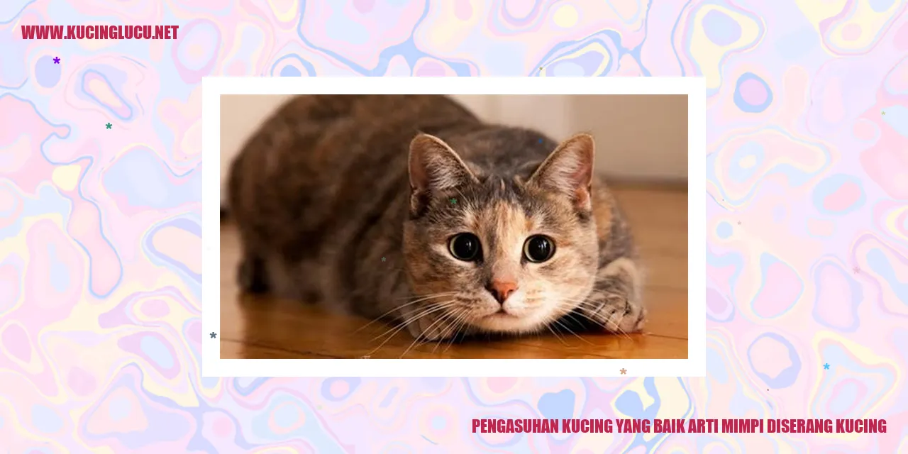 Pengasuhan Kucing yang Baik