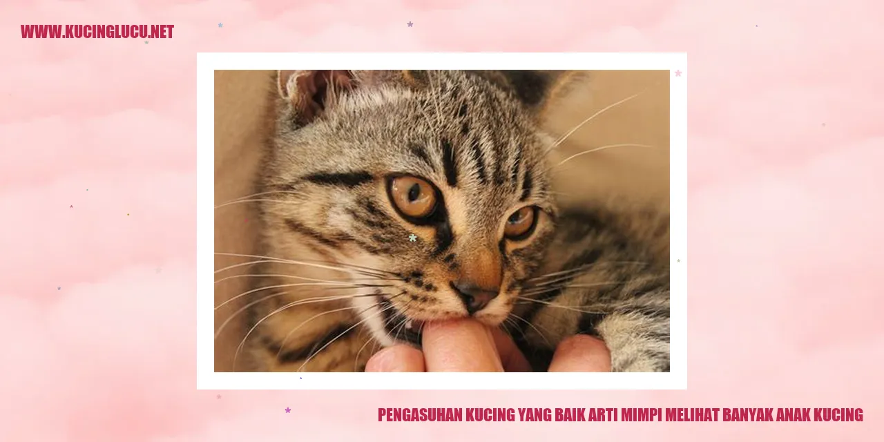 Kucing dan anak kucing