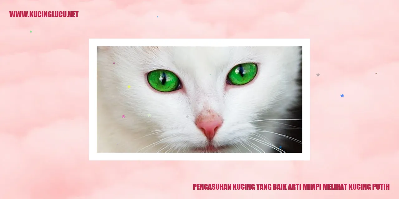 Gambar Kucing Putih