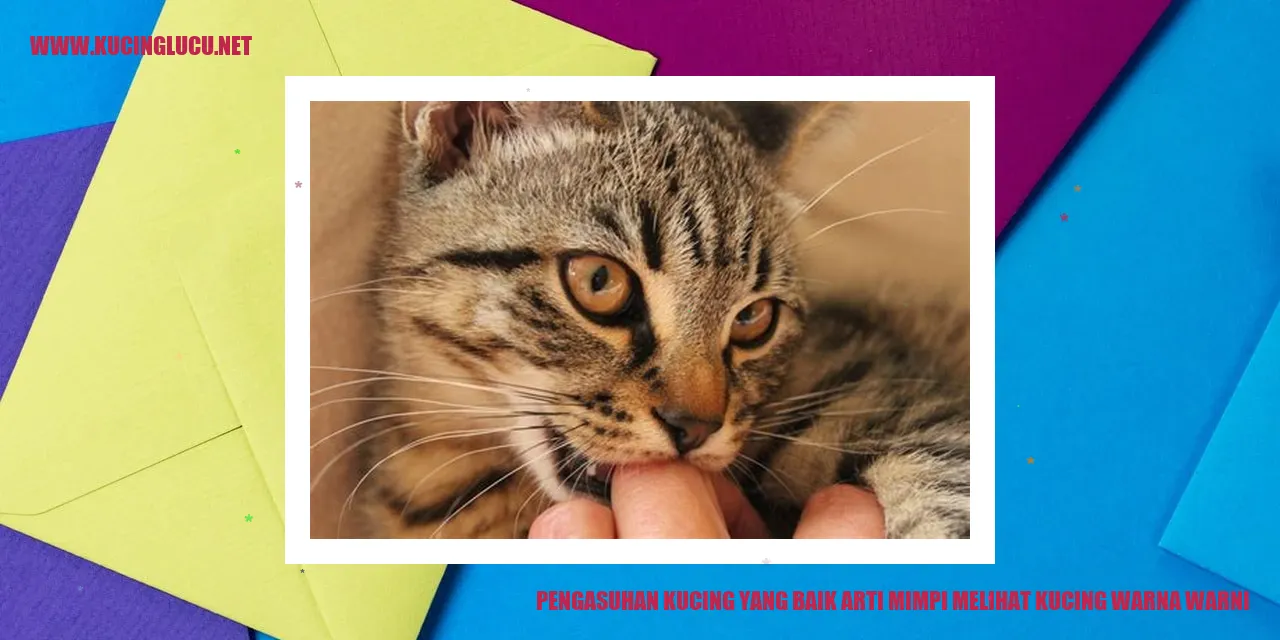 Kucing Berwarna-warni