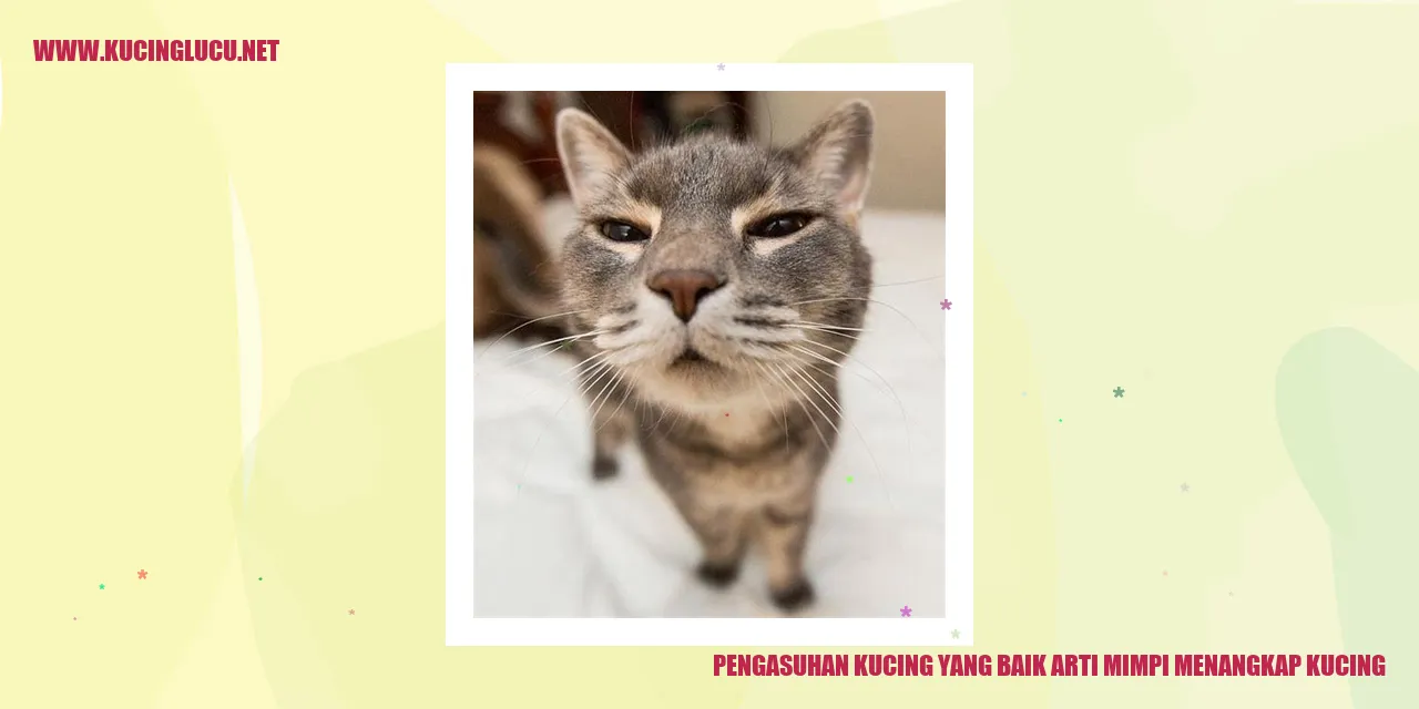Foto Kucing Menggemaskan