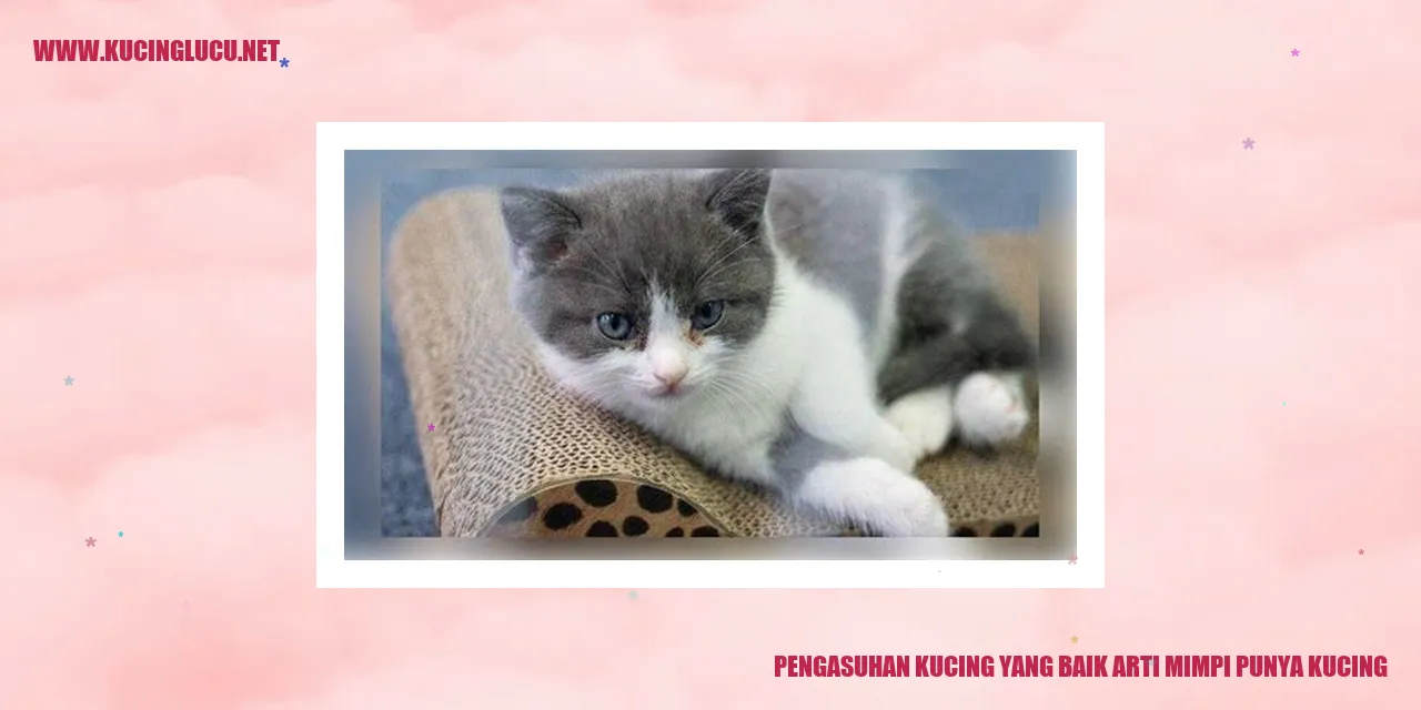 ilustrasi kucing