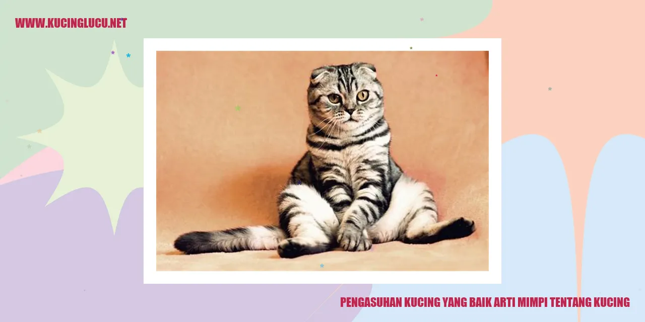 Pengasuhan Kucing yang Baik