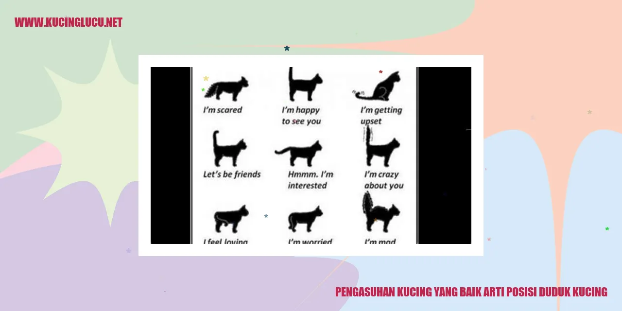 Gambar kucing duduk