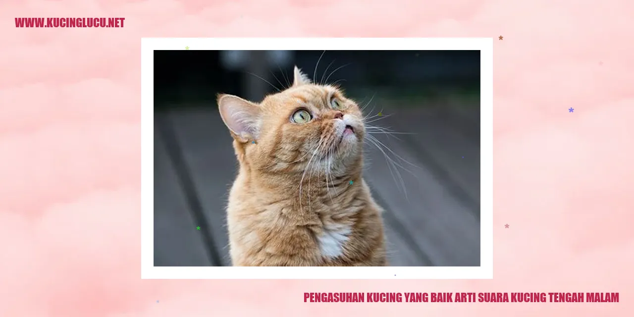 Pengasuhan Kucing yang Baik